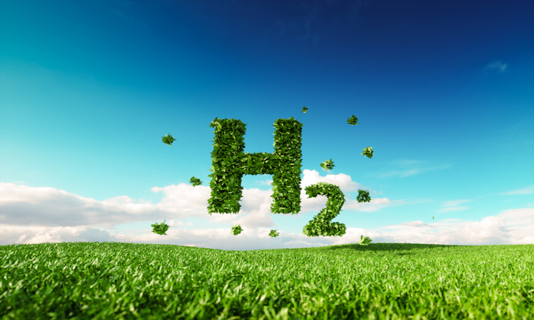 El Banco Mundial propone multiplicar por diez la producción de hidrógeno verde