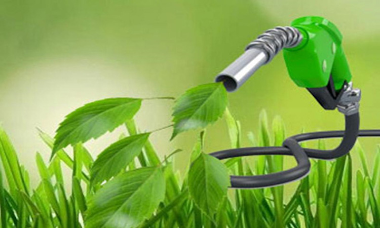 La Plataforma para la Promoción de los Ecocombustibles reivindica los ecocombustibles "como una garantía para la independencia energética"