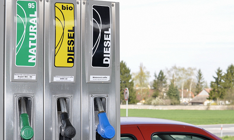 Los combustibles renovables ofrecen una vía inmediata para reducir las emisiones del transporte por carretera